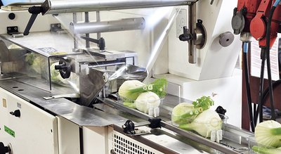 Optibelt application foods cutting system  